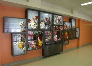 14 boîtes lumineuses avec photographies couleur de fleurs de Roberto Pellegrinuzzi (1992), installées dans l'Hôpital de l'Archipel aux Îles de la Madeleine.